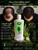 تونیک تقویتکننده مو هیر فرند بیز | Hair Friend